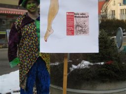 fasnacht0_20140603_1789495535